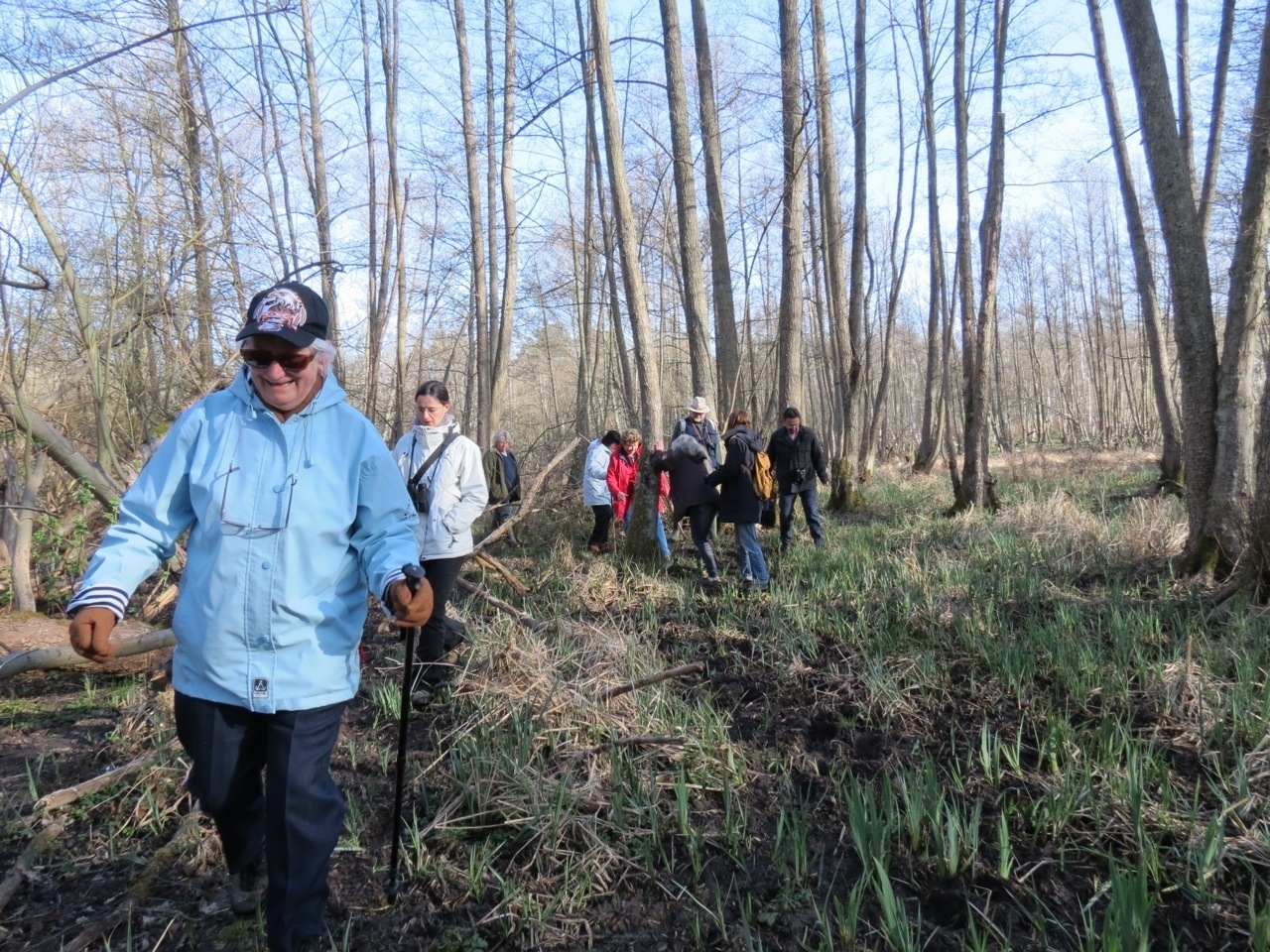 2012-04-01-Chants d'oiseaux à Gambaiseuil